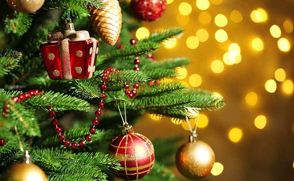 Early Bird Deals from Leisuretime